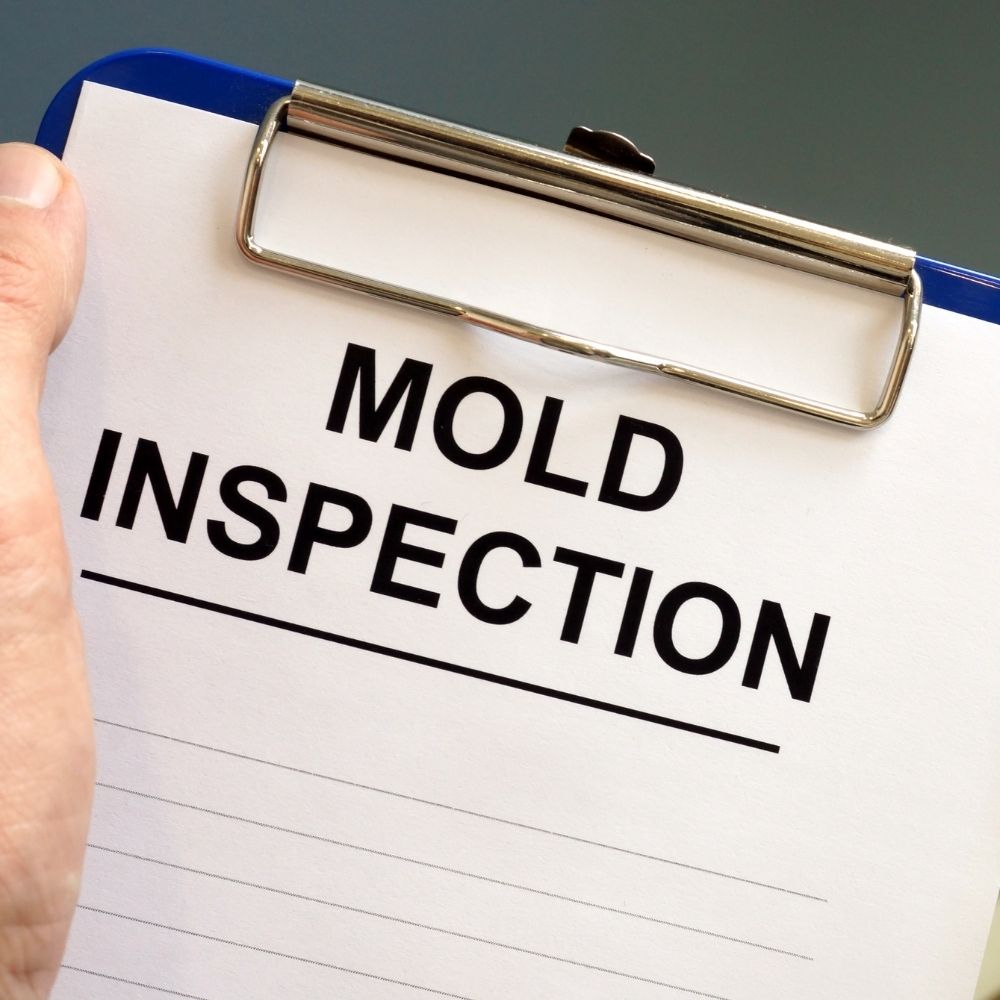 Mold Inspection Atlanta GA